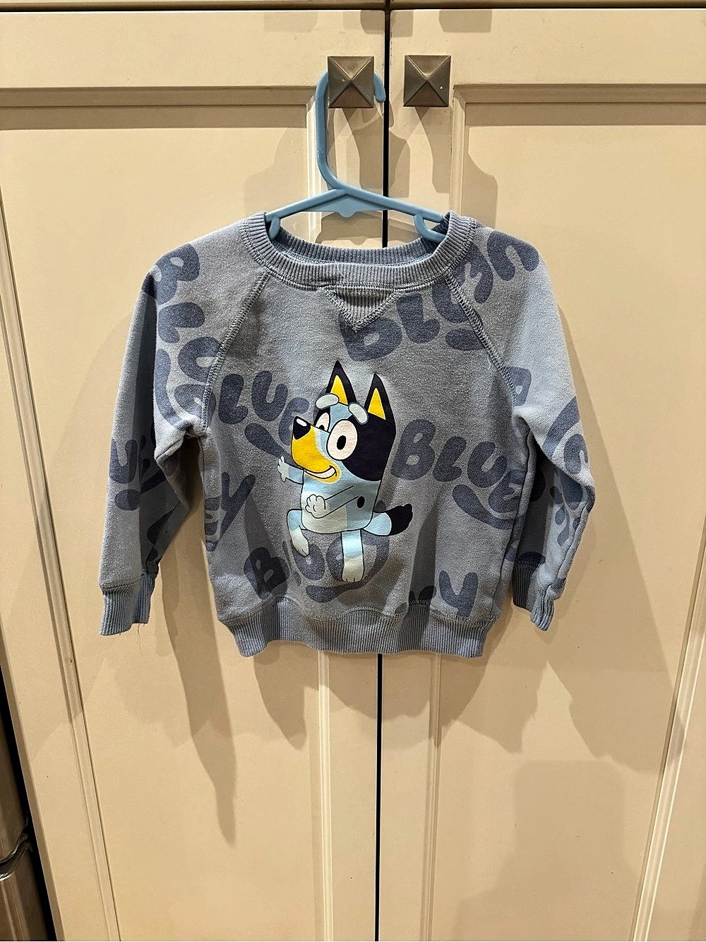 Bluey 3t Graphic Sweatshirt in blue